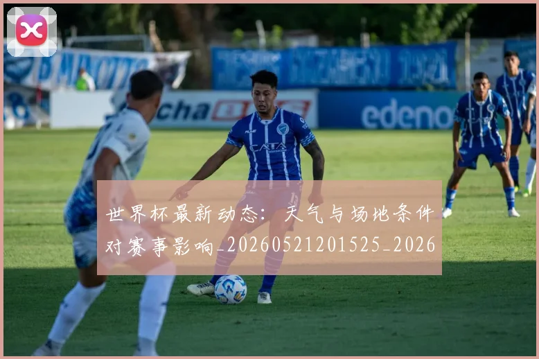 世界杯最新动态：天气与场地条件对赛事影响_20260521201525_20260607160345