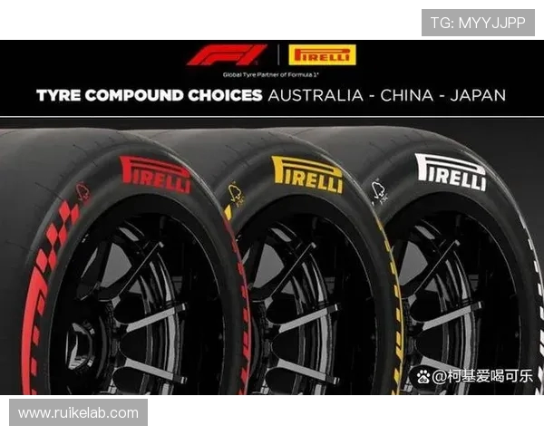 F1轮胎策略深度分析:如何用进站决定胜负 F1轮胎策略深度分析:如何用进站决定胜负
